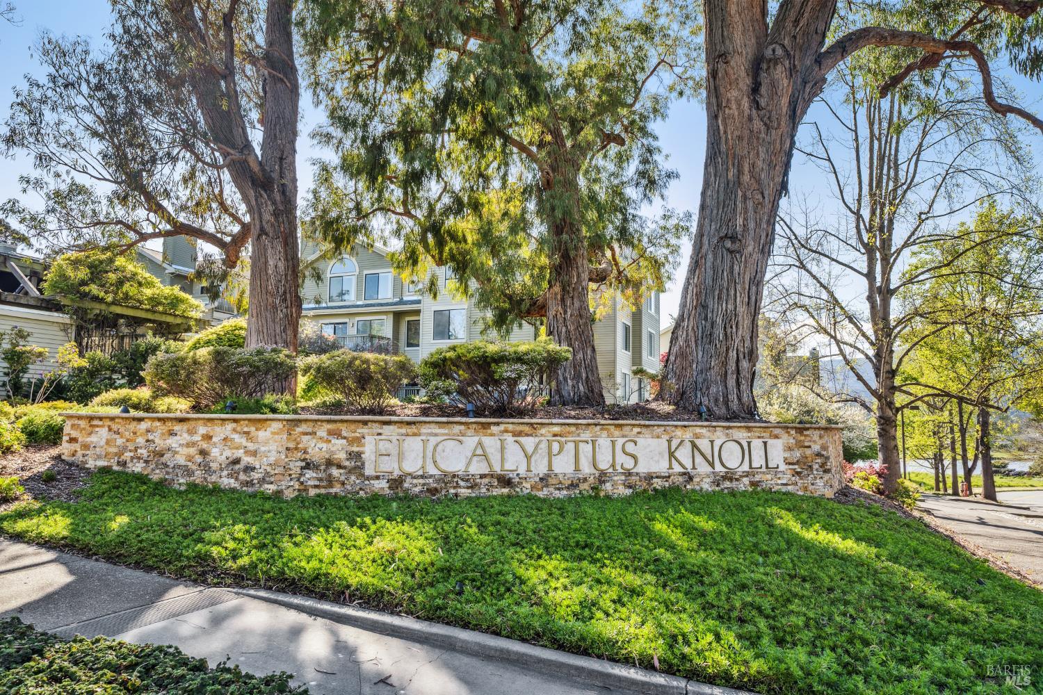123 Eucalyptus Knoll Street Mill Valley CA 94941