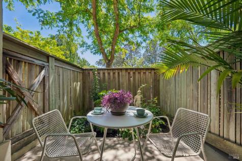 123 Eucalyptus Knoll Street Mill Valley CA 94941