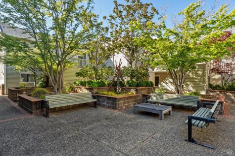 123 Eucalyptus Knoll Street Mill Valley CA 94941