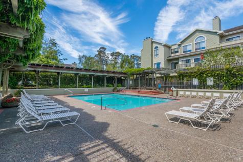 123 Eucalyptus Knoll Street Mill Valley CA 94941