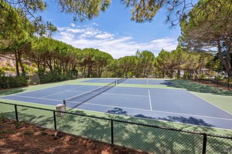 123 Eucalyptus Knoll Street Mill Valley CA 94941