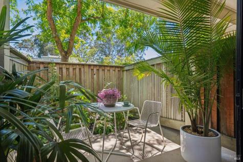 123 Eucalyptus Knoll Street Mill Valley CA 94941