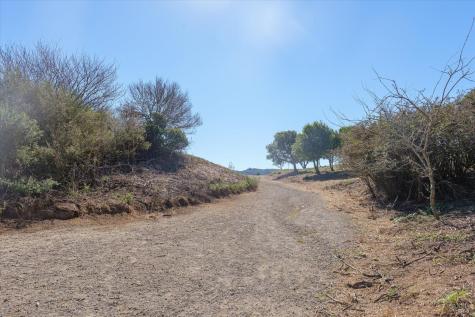 250 Bay Vista Circle Sausalito CA 94965