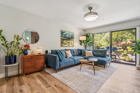 242 Sandpiper Court Novato CA 94949