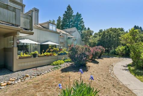 242 Sandpiper Court Novato CA 94949