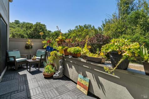 242 Sandpiper Court Novato CA 94949