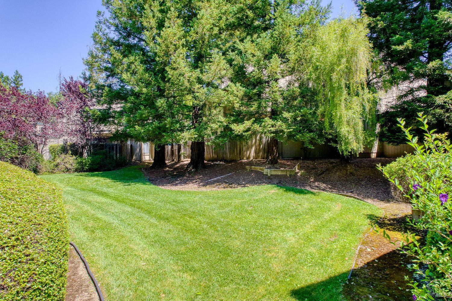 9 Cama Lane Novato CA 94947