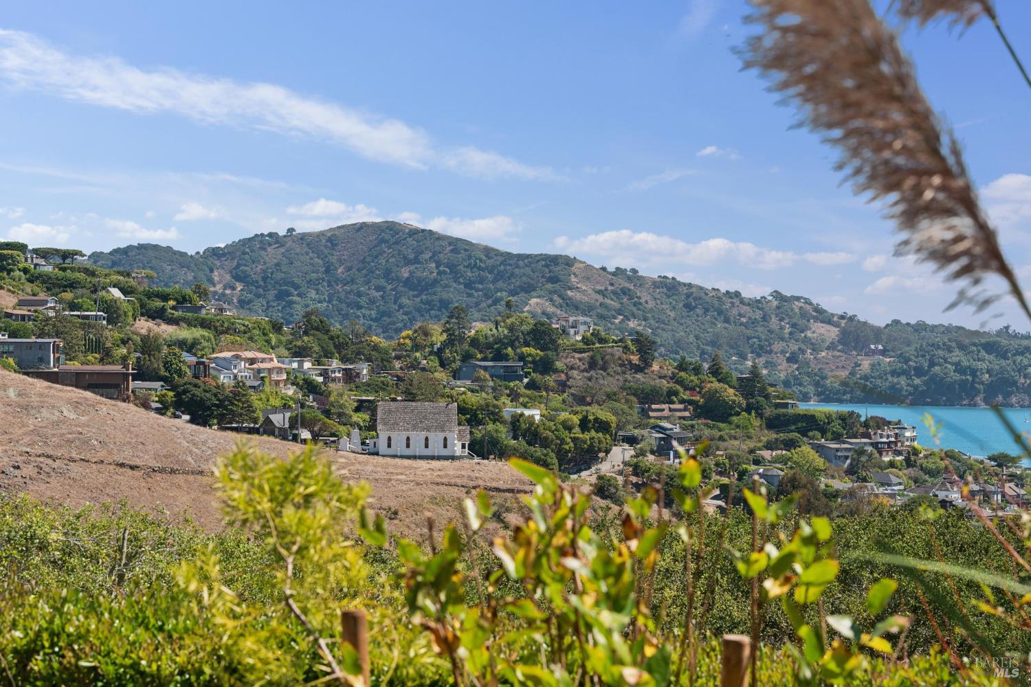 80 Lyford Drive Tiburon CA 94920