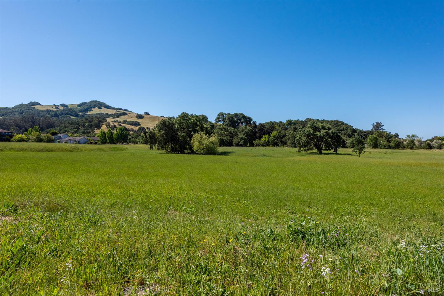 2228 Tokay Street Santa Rosa CA 95404
