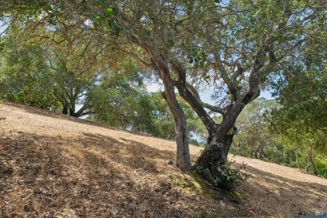 95 Windstone Drive San Rafael CA 94903