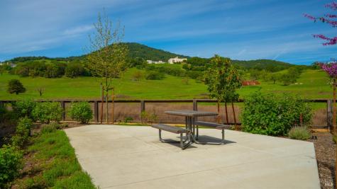 446 Verandah Avenue Novato CA 94945