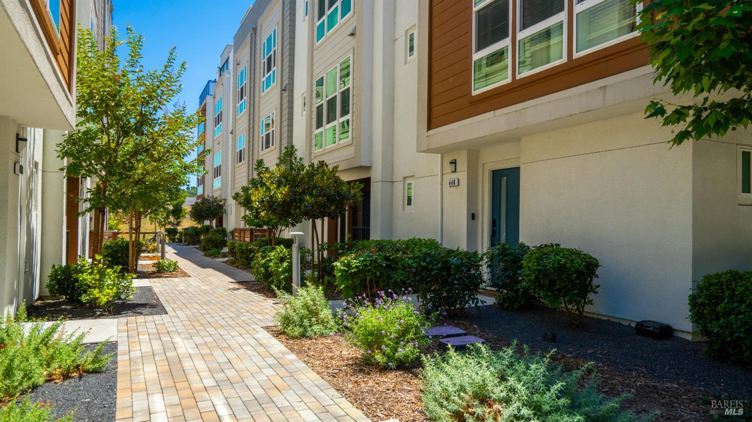 446 Verandah Avenue Novato CA 94945