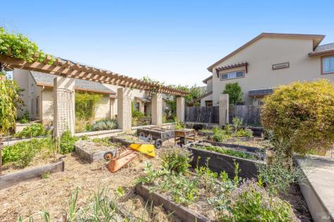 455 Sequoia Lane Sebastopol CA 95472