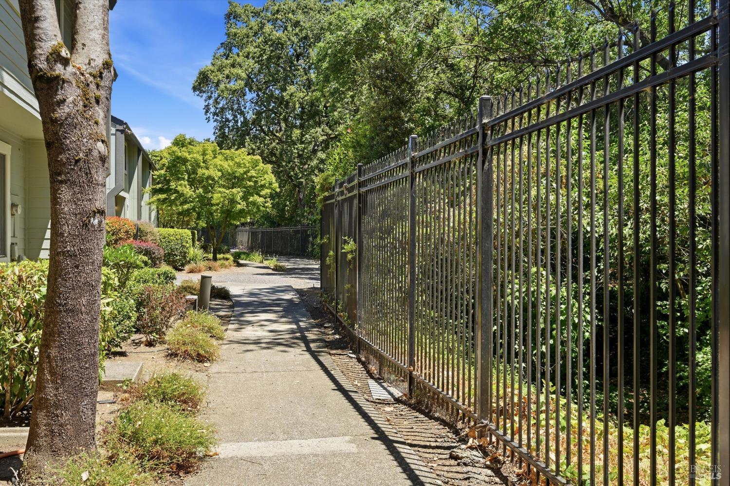 323 Harvest Lane Santa Rosa CA 95401