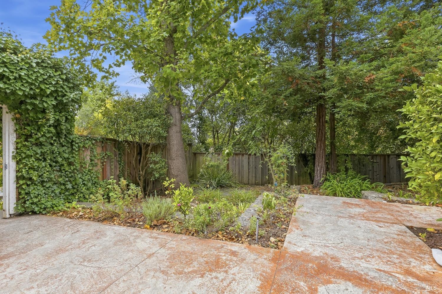 123 Alice Street Santa Rosa CA 95409