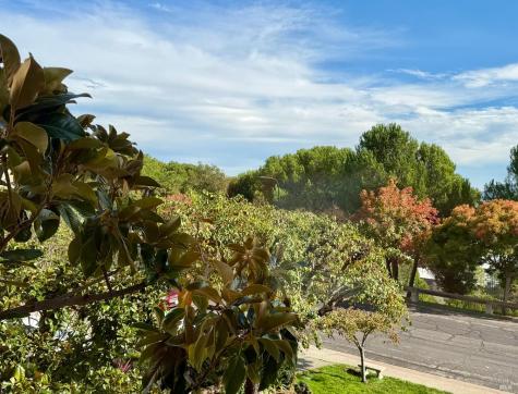 100 Thorndale Drive San Rafael CA 94903