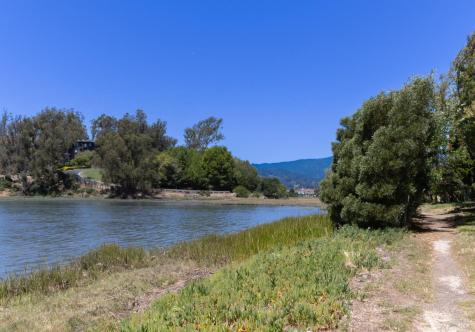 120 Seminary Drive Mill Valley CA 94941