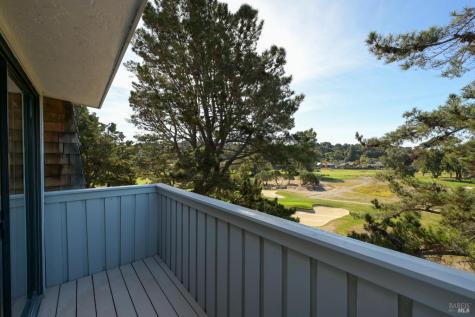 167 Knollwood Drive San Rafael CA 94901