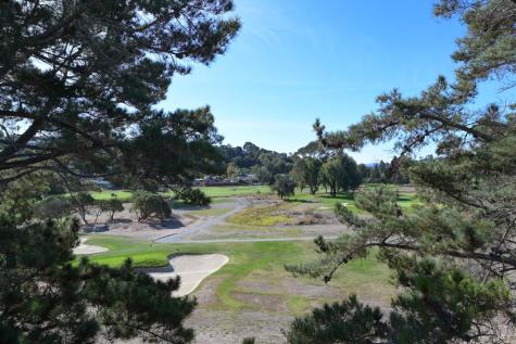 167 Knollwood Drive San Rafael CA 94901