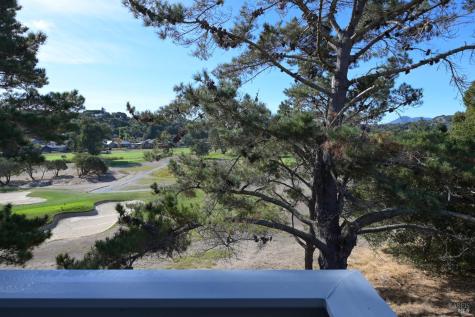 167 Knollwood Drive San Rafael CA 94901