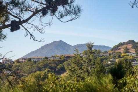 167 Knollwood Drive San Rafael CA 94901