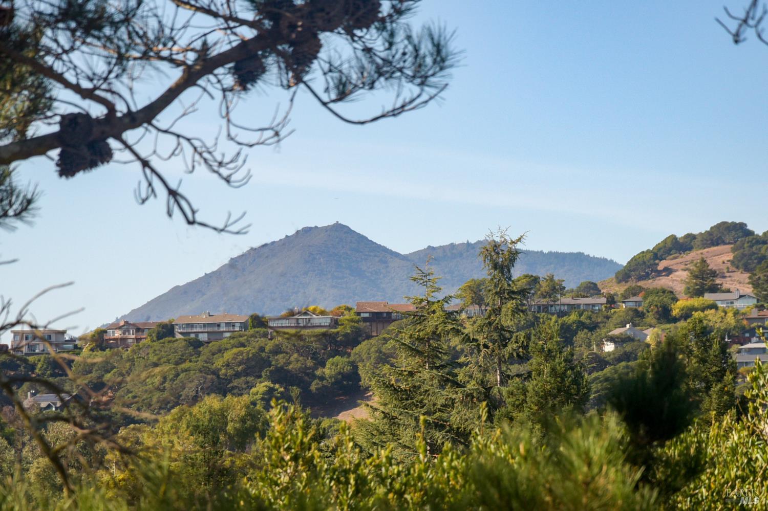 167 Knollwood Drive San Rafael CA 94901