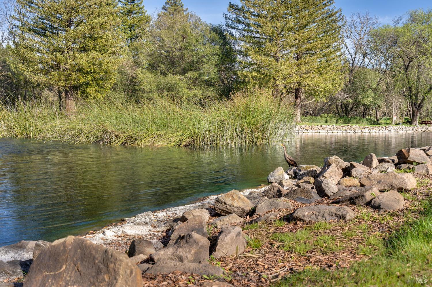2328 Lakeview Drive Santa Rosa CA 95405
