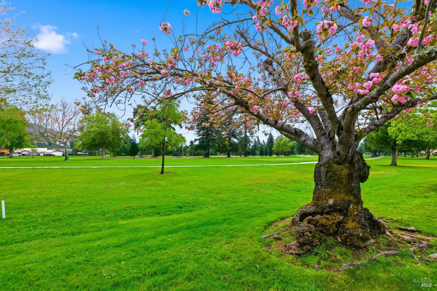 13 Fairways Drive Napa CA 94558
