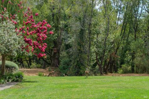 52 Cinnamon Teal Lane Novato CA 94949