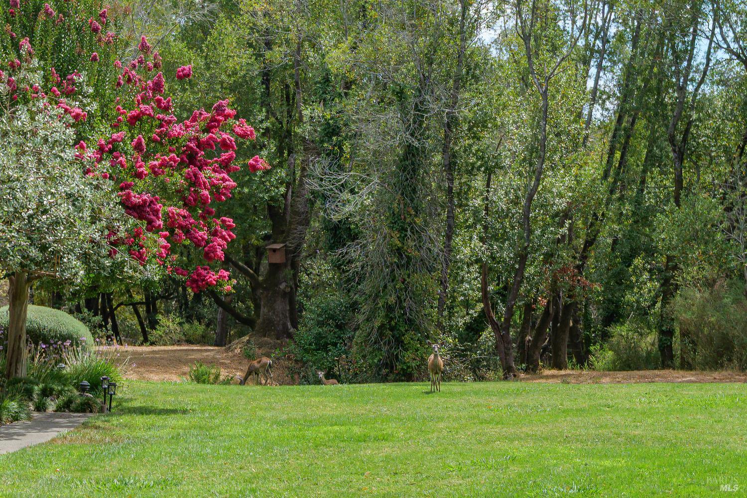 52 Cinnamon Teal Lane Novato CA 94949