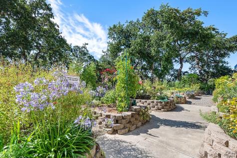 100 Thorndale Drive San Rafael CA 94903