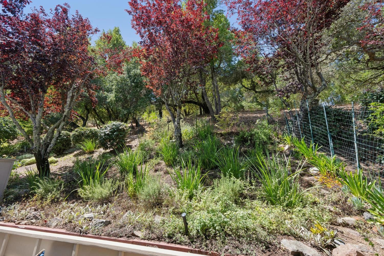 8 Sage Grouse Road Novato CA 94949