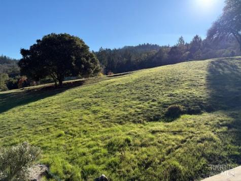 6416 Timber Springs Court Santa Rosa CA 95409