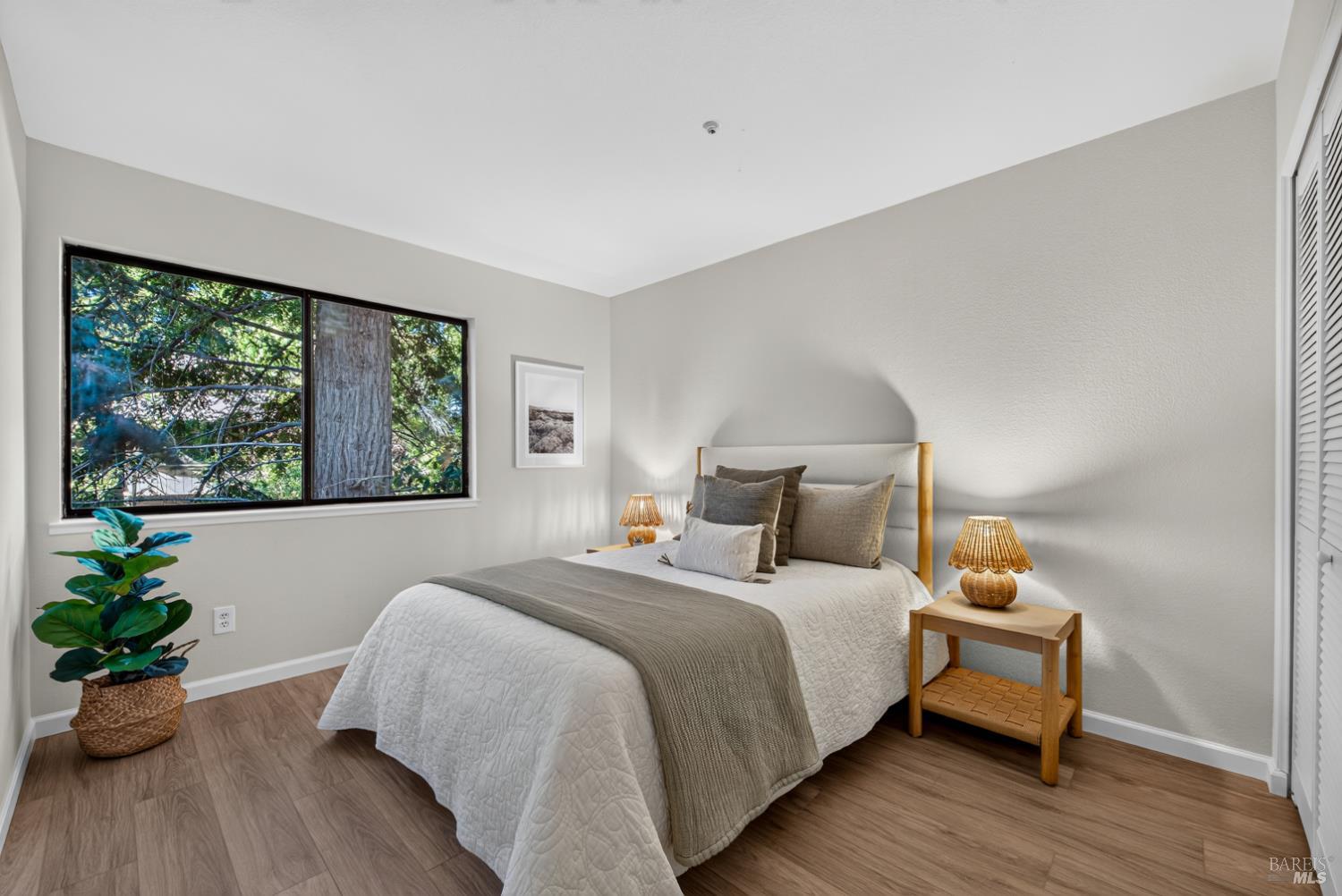 31 Arbor Street Cotati CA 94931