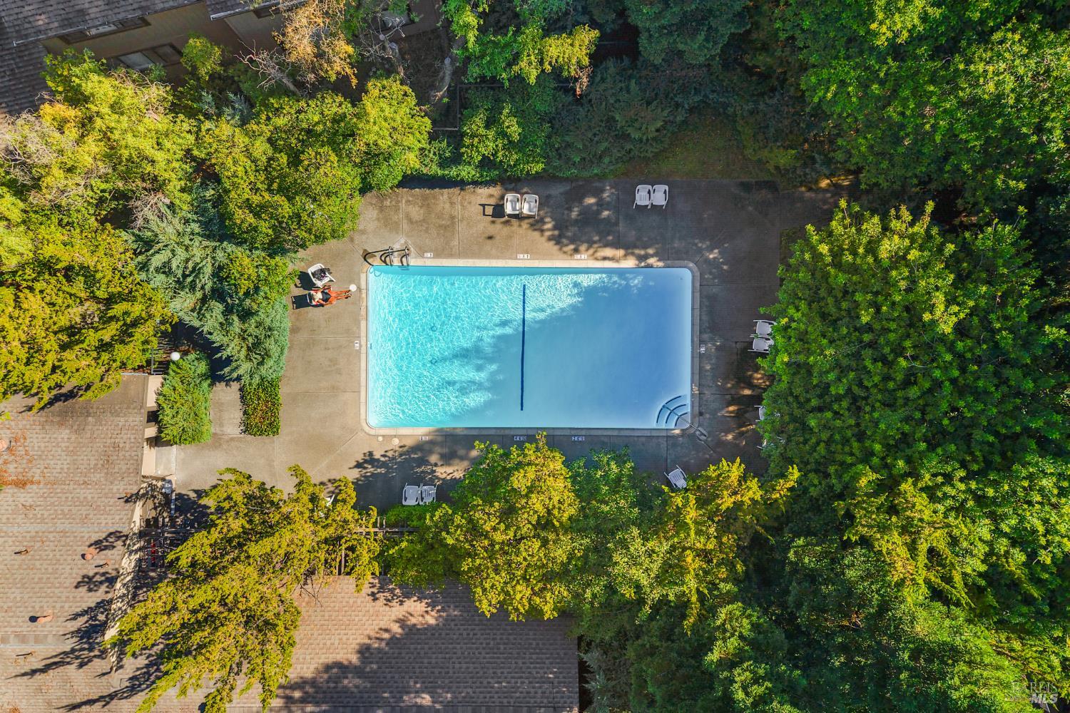 31 Arbor Street Cotati CA 94931