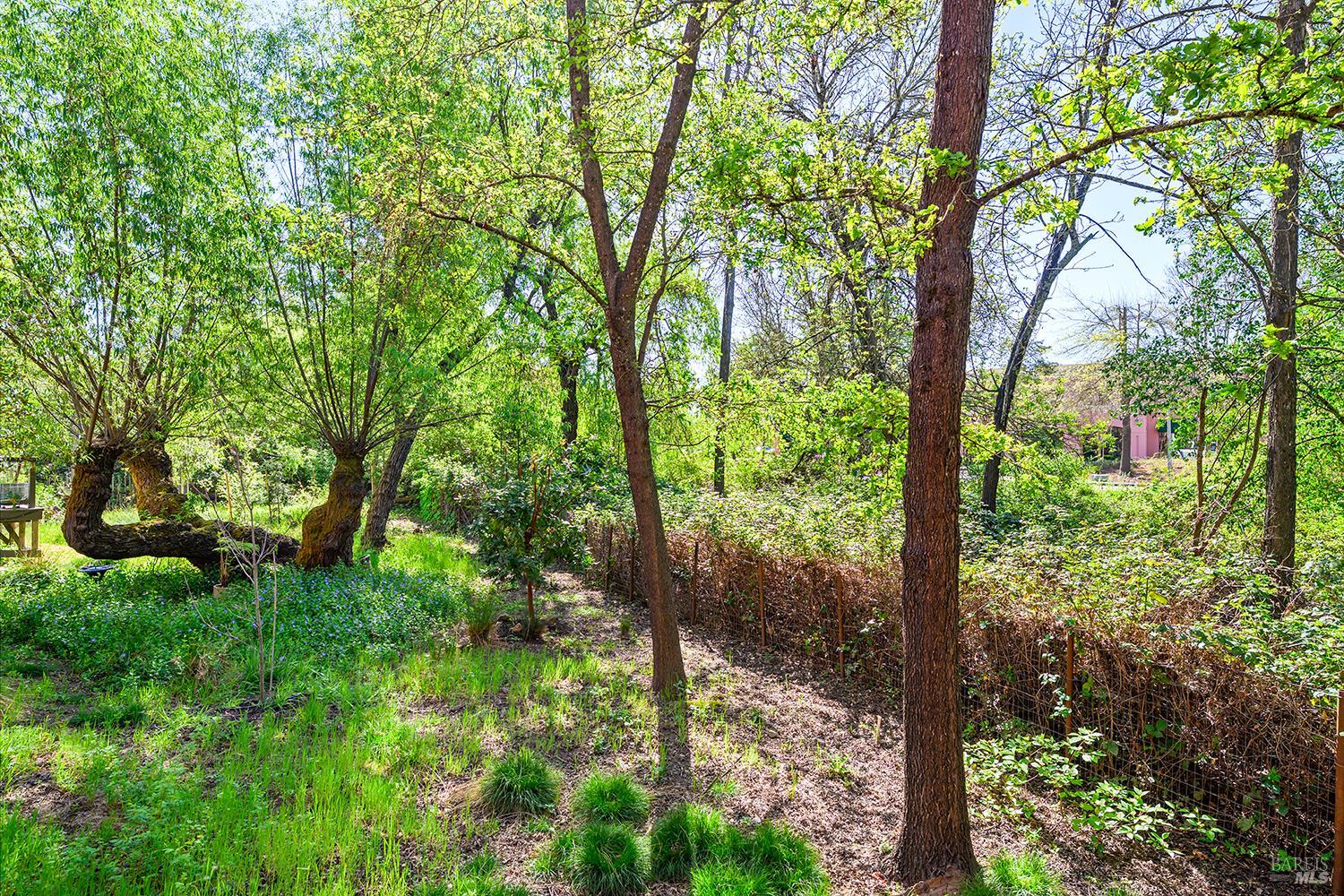 516 Grove Street Healdsburg CA 95448