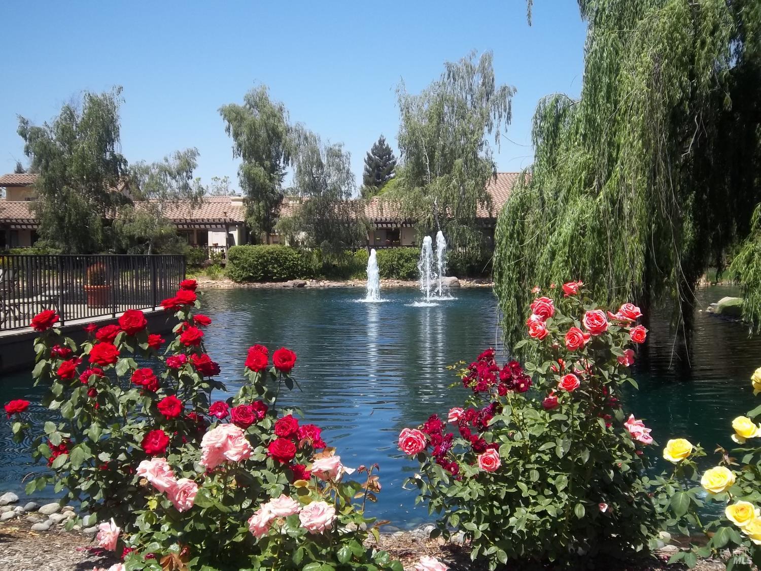 36 Fountain Grove Circle Napa CA 94558