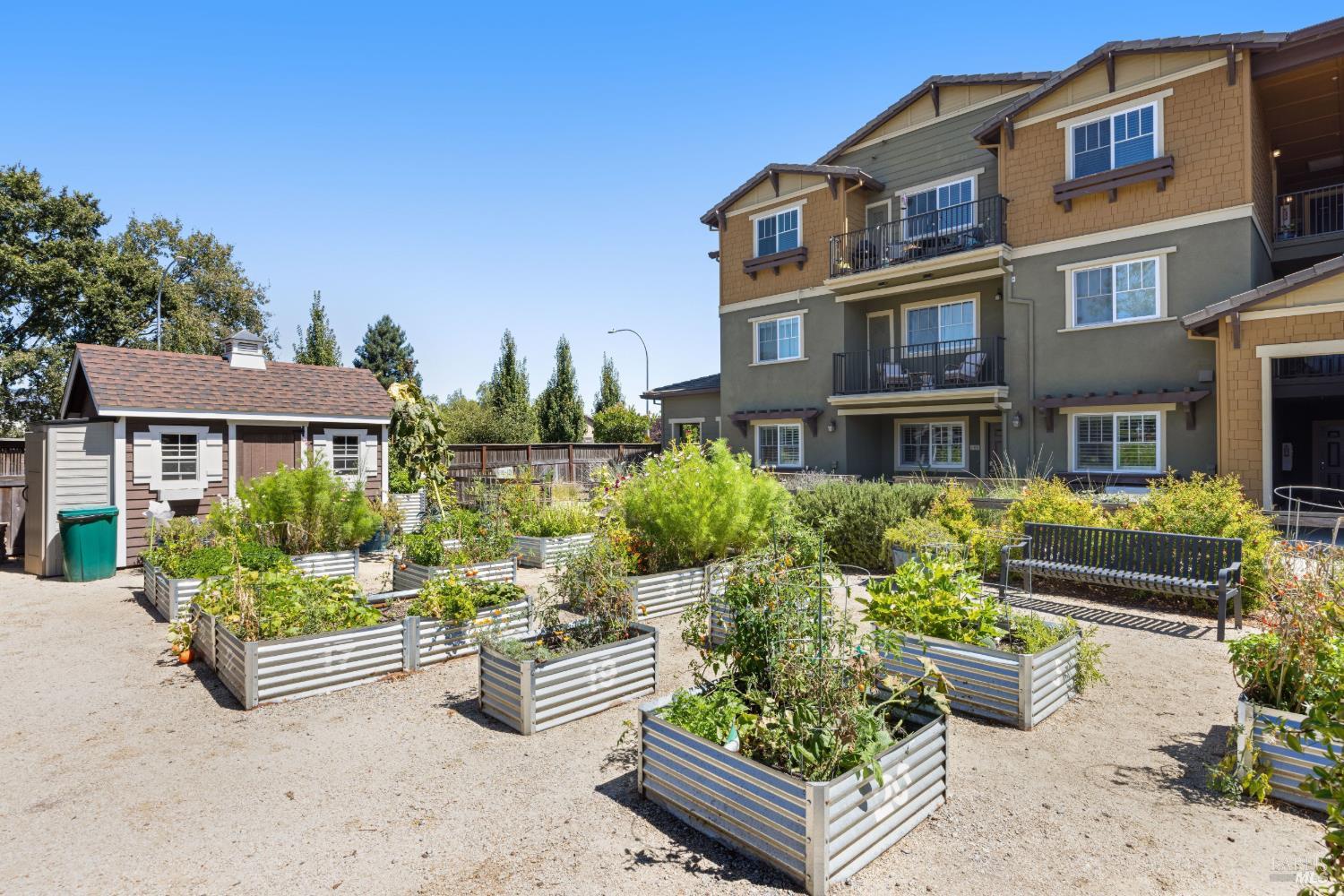 1404 Mauro Pietro Drive Petaluma CA 94954