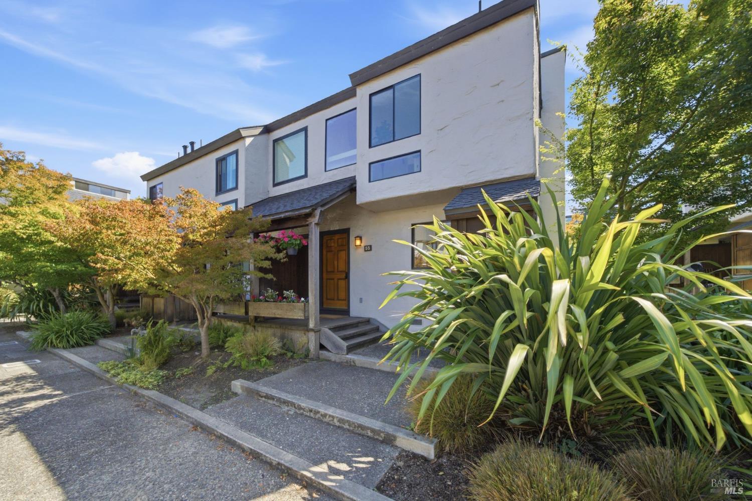 55 Park Terrace Mill Valley CA 94941
