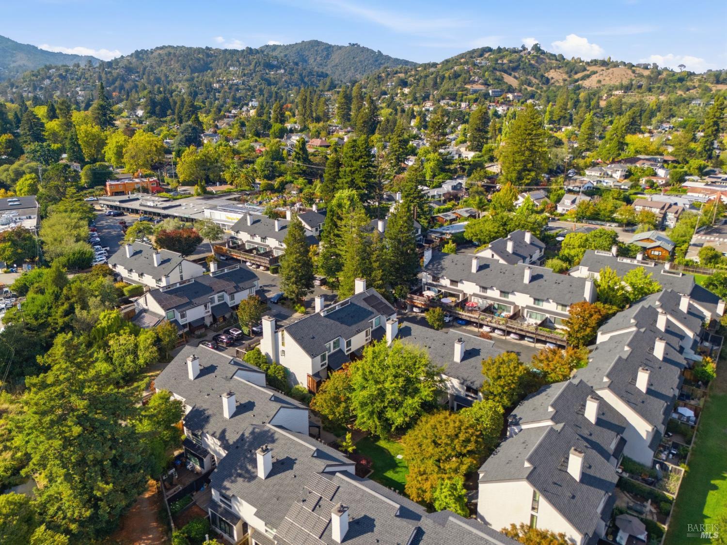 55 Park Terrace Mill Valley CA 94941