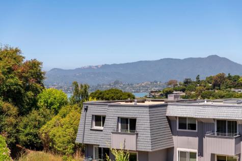 80 Lyford Drive Tiburon CA 94920