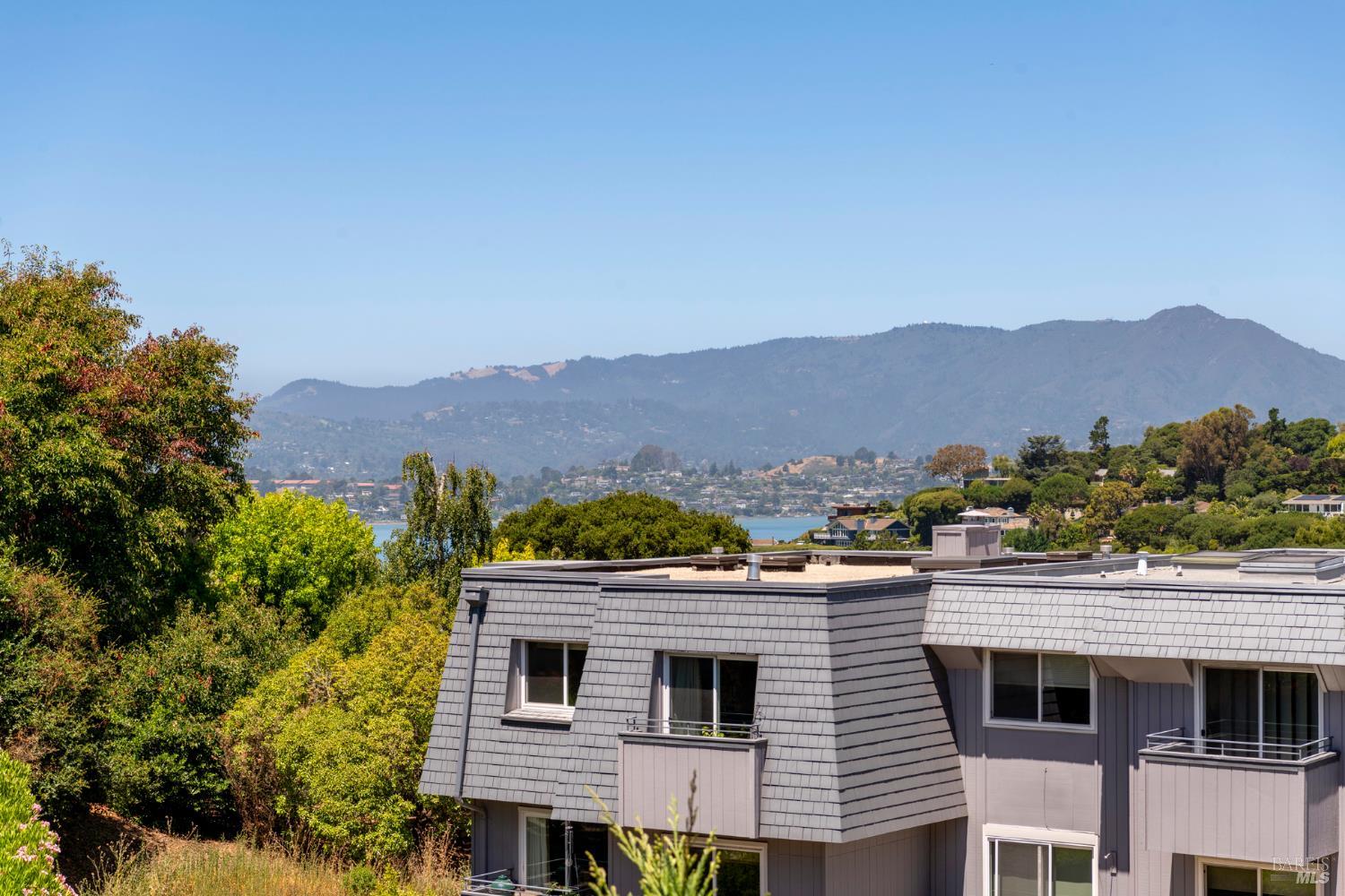 80 Lyford Drive Tiburon CA 94920
