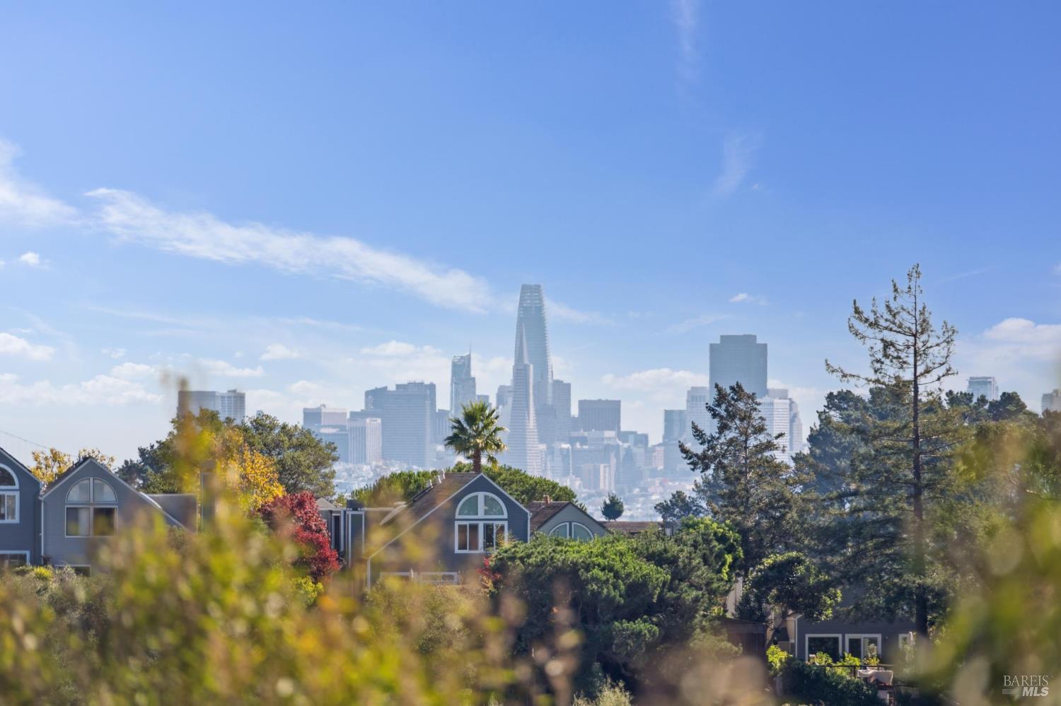 561 Seaver Drive Mill Valley CA 94941