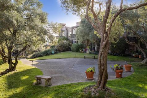 561 Seaver Drive Mill Valley CA 94941