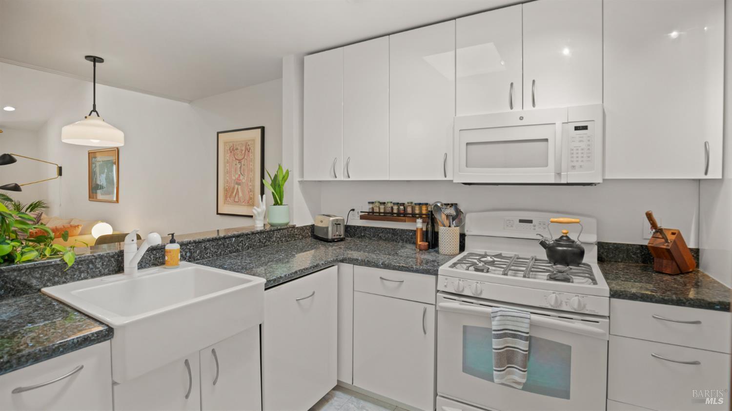 46 Chalda Court San Rafael CA 94903
