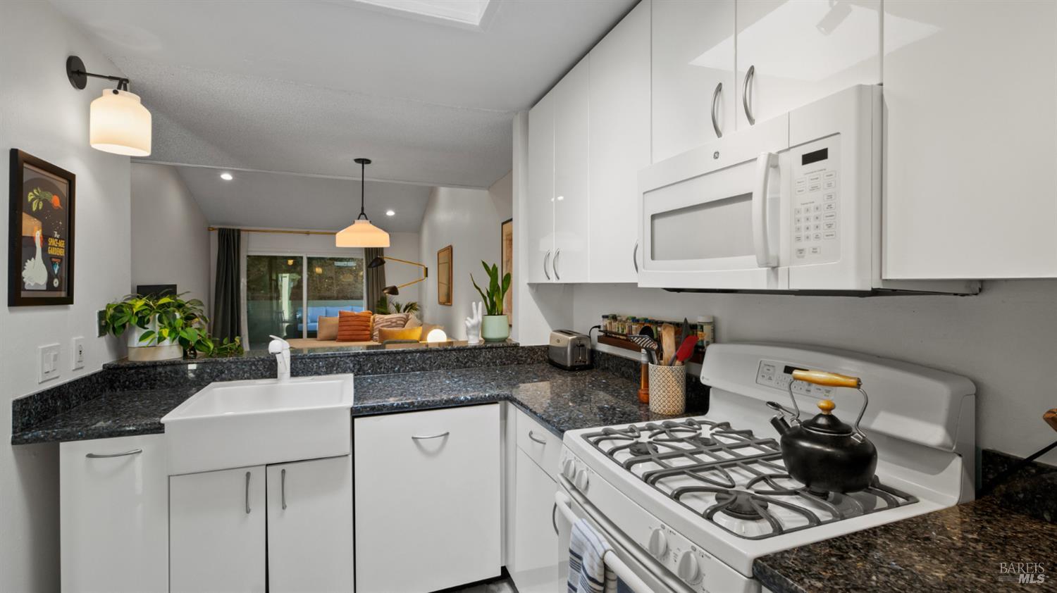 46 Chalda Court San Rafael CA 94903