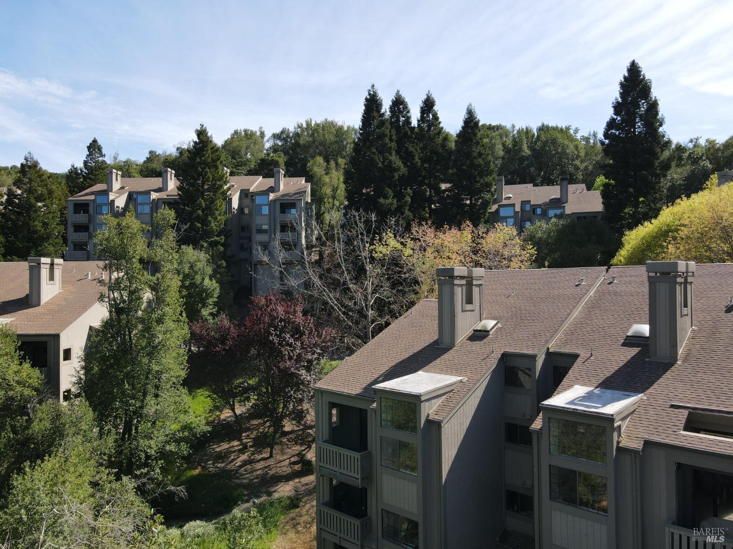 194 Pelican Lane Novato CA 94949