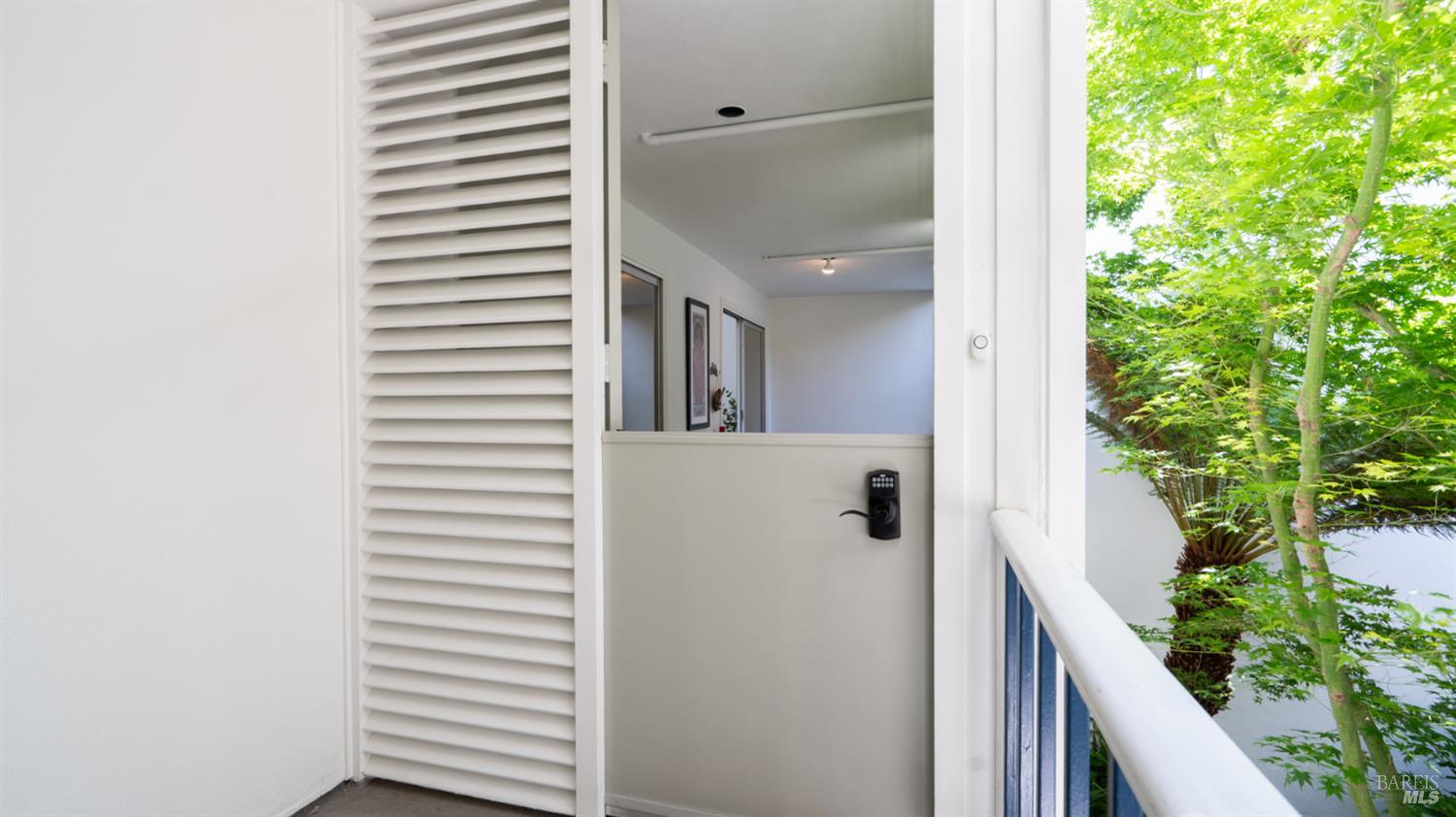 5222 Shelter Bay Avenue Mill Valley CA 94941