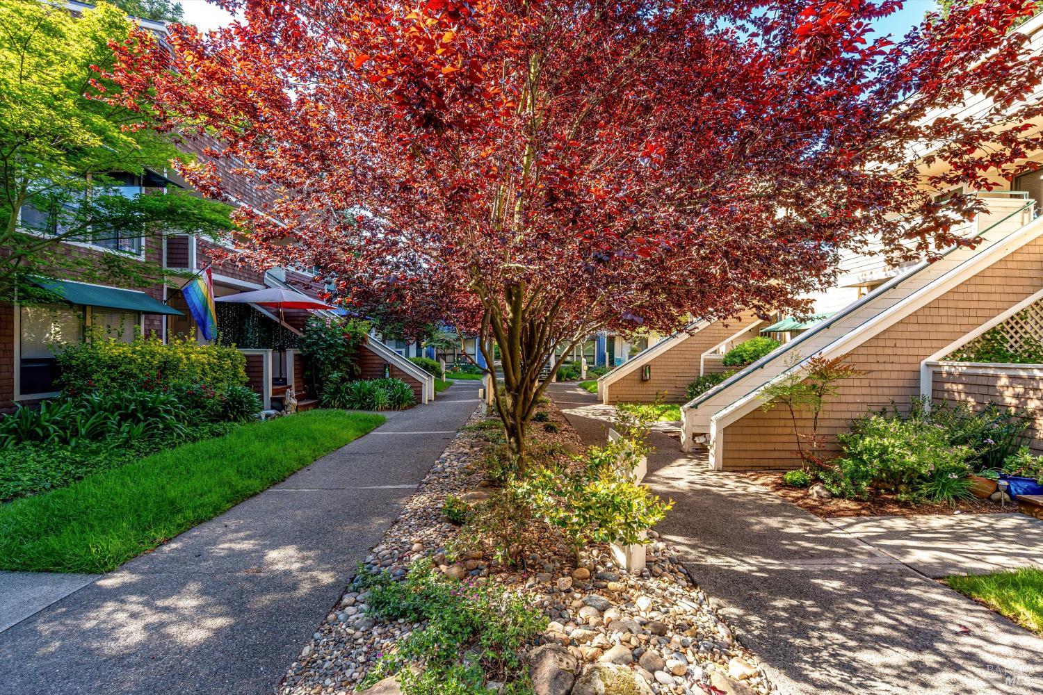 901 Russell Avenue Santa Rosa CA 95403