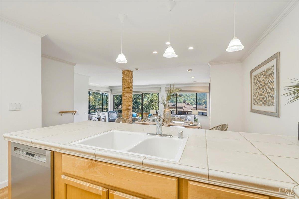 316 El Faisan Drive San Rafael CA 94903